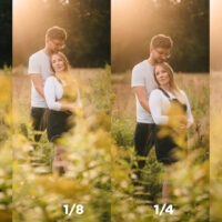 NiSi Black Mist Comparison