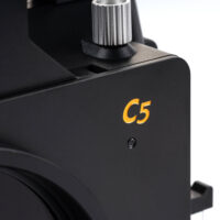 C5-Back.jpg